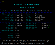 Example score sheet.png